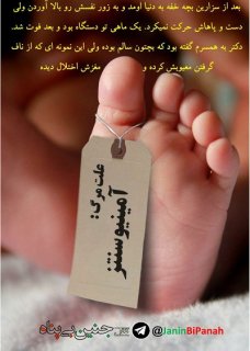 کدام نسخه مناسب تر است؟